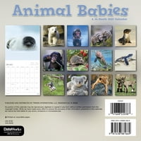 Trendek Nemzetközi állati csecsemők Mini fali naptár