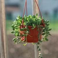 Hesroicy Virágkosár újrafelhasználható növeli a műanyag függő ültetvényes dekorációs edényt kültéri használatra