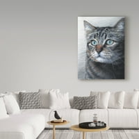 Védjegy képzőművészet 'macska portré' vászon művészet Carla Kurt