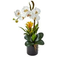 Szinte természetes orchidea és brómos selyem elrendezés fényes fekete hengeres vázában