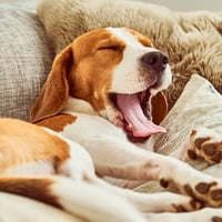 Kanapéhuzat kutyáknak-kisállat Bútorvédő memória hab Nyaktartóval, Steppelt szövettel és vízálló alapréteggel a Petmaker-től
