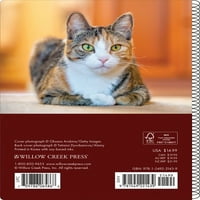 Willow Creek Press Mit tanítanak a macskák eljegyzési naptárának, spirális tervező