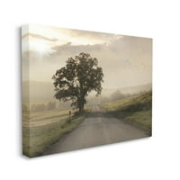 Stupell Industries Lone Tree csendes reggeli út vidéki táj fotógaléria csomagolt vászon nyomtatott fali művészet, Lori
