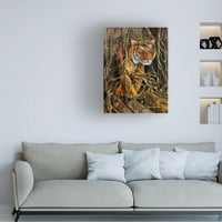 Eileen Herb-Witte 'intenzív tigris 2' vászon művészet