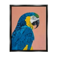 Stupell Industries merész papagáj vadon élő állatok portré festmény Jet fekete úszó keretes vászon nyomtatott fali