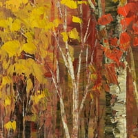 MACHASPIECE Művészeti Galéria Összezavarodott színek őszi erdője: Tatiana Illina Canvas Art Print 24 36