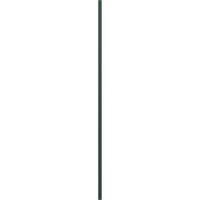 Ekena Millwork 12 W 64 H élettartamú vinil, farokrapade két egyenlő panel, emelt panel redőnyök, w redőnyök, erdőzöld