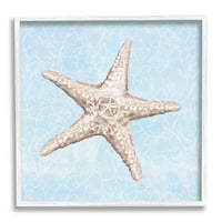Részletes tengeri csillagkék vízmintás állatok és rovarok grafikus fehér keretes művészeti nyomtatási fal művészet