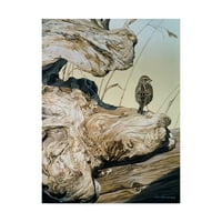 Ron Parker, a „Driftwood” vászon művészete