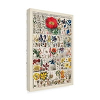 Vision Studio 'Floral Chart' Canvas Art