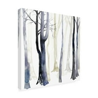 Védjegy Szépművészet 'az erdőben i' Canvas Art by Grace Popp