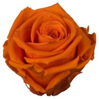 Vickerman 2.5-3 Millennium Orange Standard tartósított Rózsafej, darab, tartósított