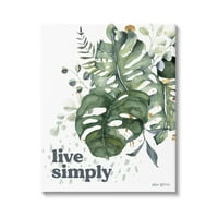 Stupell Industries Live Simply Text Bush Green Monstera Plant Levels Grafikus Galéria csomagolt Canvas nyomtatási fal