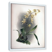 Designart 'ókori orchidea virág' hagyományos keretes vászon fali művészet